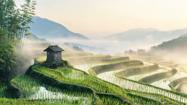 Tudigong: The Taoist Earth God Who Guards Your Home and Land